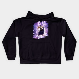 Lazer Warrior Space Cat Riding Llama With Taco Kids Hoodie